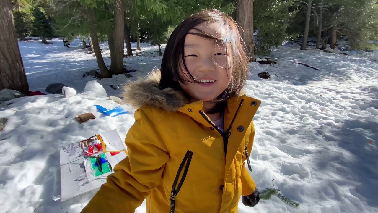 SNOWFIGHTS AND SLEDDING AT MT BALDY