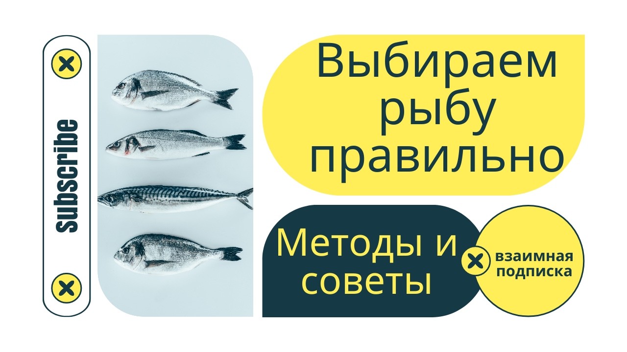 Выбираем рыбу правильно.  Методы и советы.
