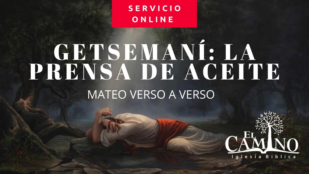 Mateo 26:36-46 :GETSEMANÍ: La prensa de ACEITE