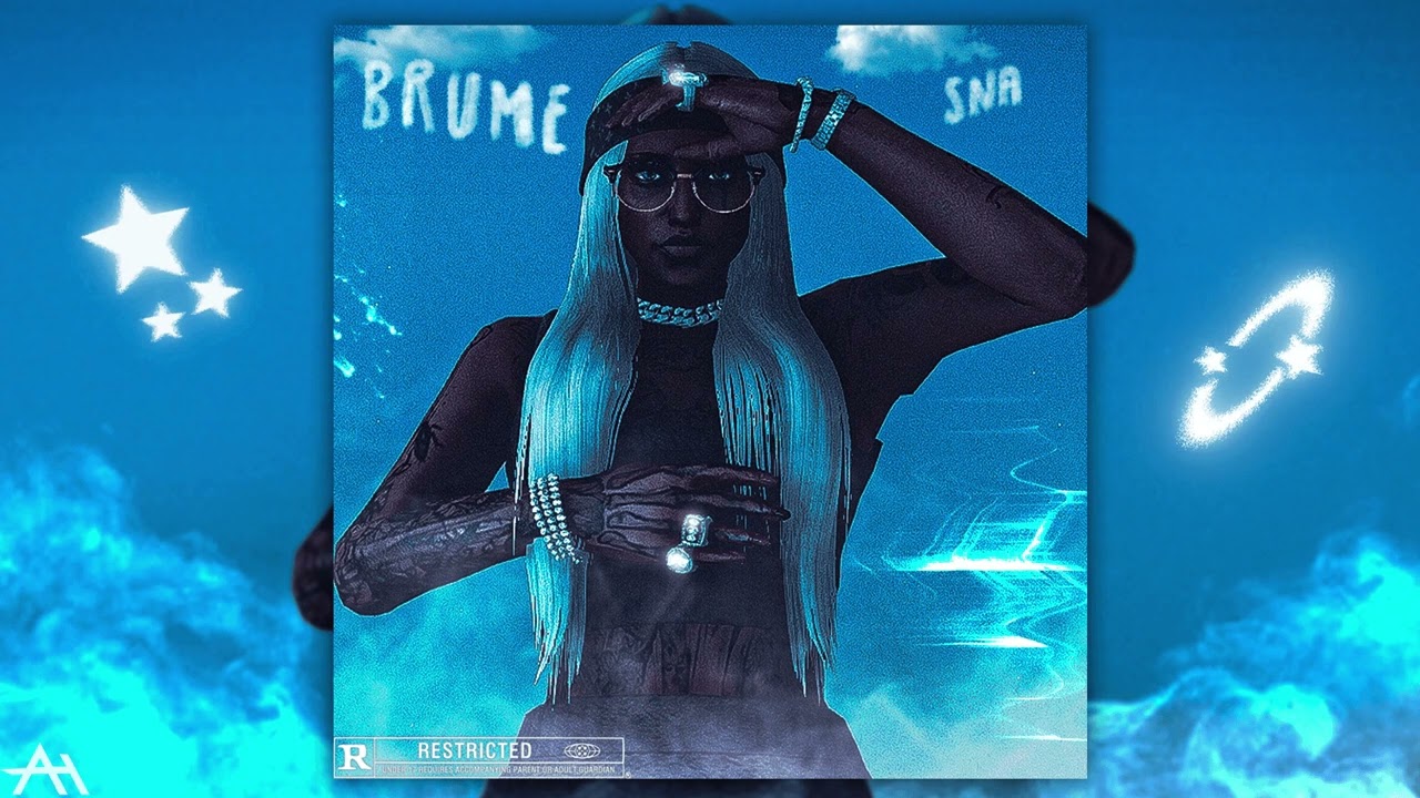 [ FLASHBACK ] SNA ‐ BRUME