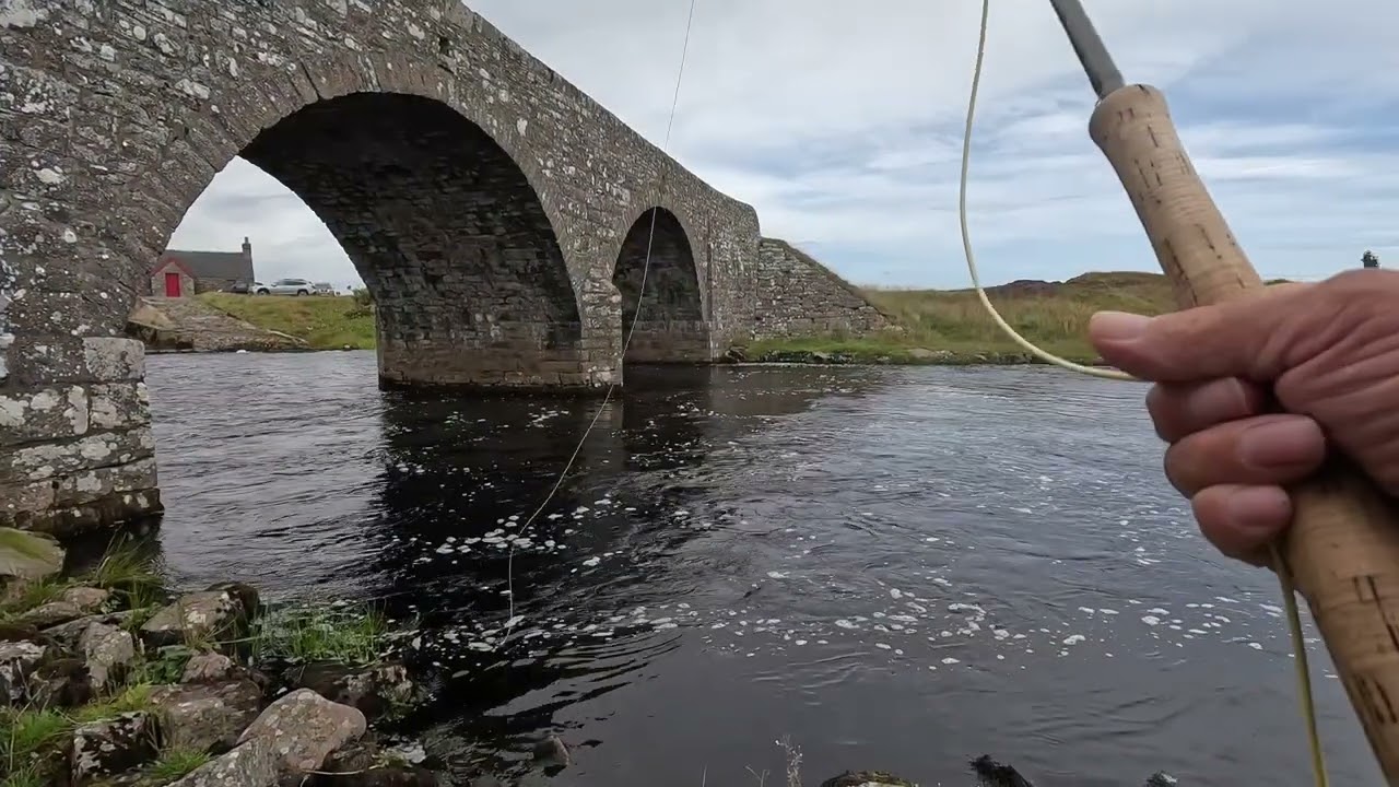 Salmon Fishing on the River Thurso. August 2023 Day6