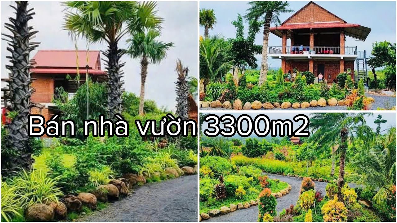 trả giá là bán nhà vườn nghỉ dưỡng 3300m2 Phước Tân - Xuyên Mộc - BR-VT