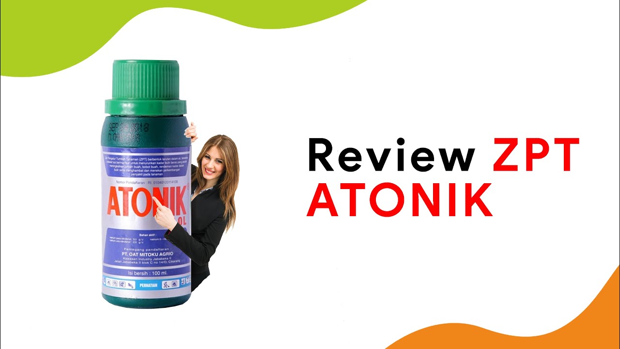 Review Lengkap! ZPT Atonik, Memaksimalkan Pertumbuhan dan Hasil Tanaman Cabe