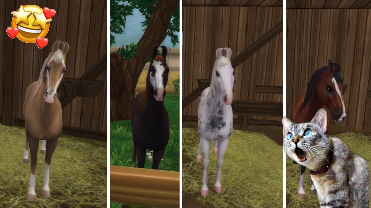 Star Stable Online #24 Marwari! Z Delfineczką!