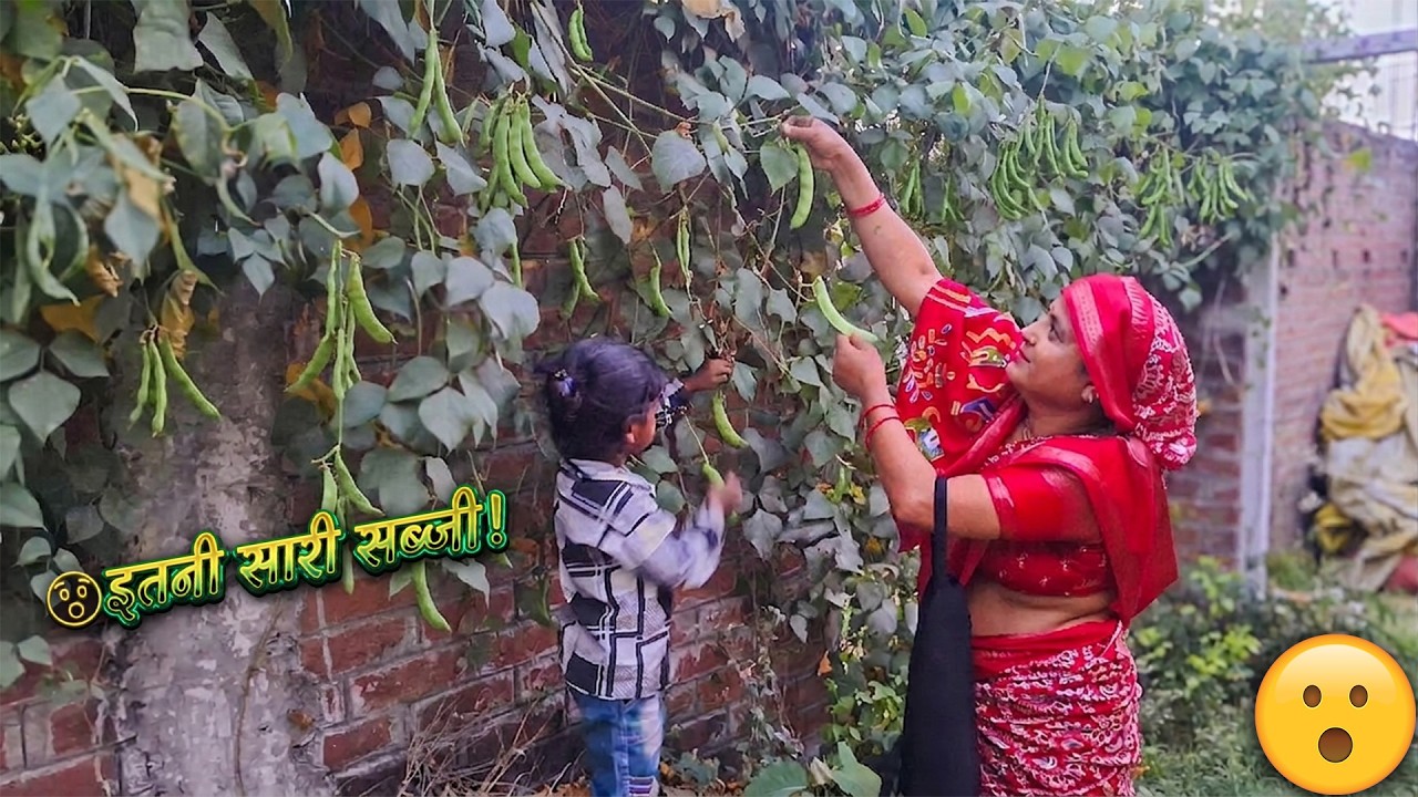आज तो लगा सारी सब्जी मंडी चली जाएगी 😲 |  Village Life Vlog | Vegetable Harvesting In Village