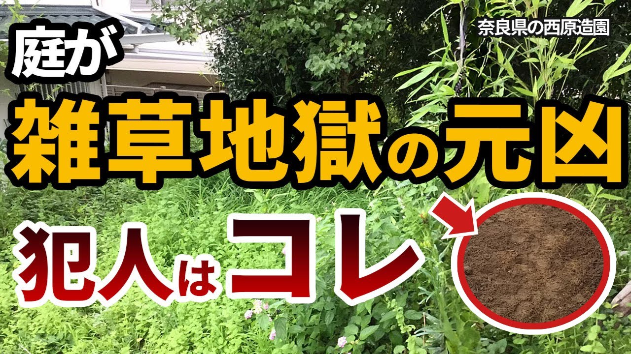 【庭の手入れを不要にする3つの鉄則】雑草地獄の元凶を断ち切った奈良県Y様の実例