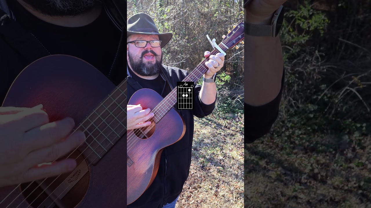 If You Could Only See Easy Guitar Tutorial 