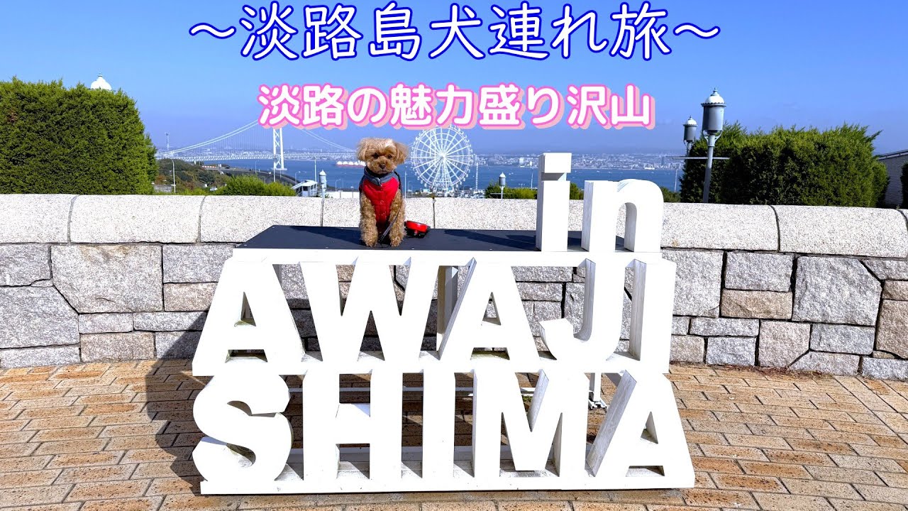 【犬旅淡路島】'25淡路島 愛犬と旅して知った淡路島の魅力