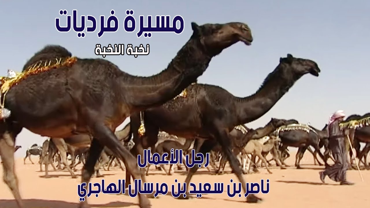 مسيرة نخبة النخبة | رجل الأعمال / ناصر بن سعيد بن مرسال الهاجري ( أم رقيبة 2012)