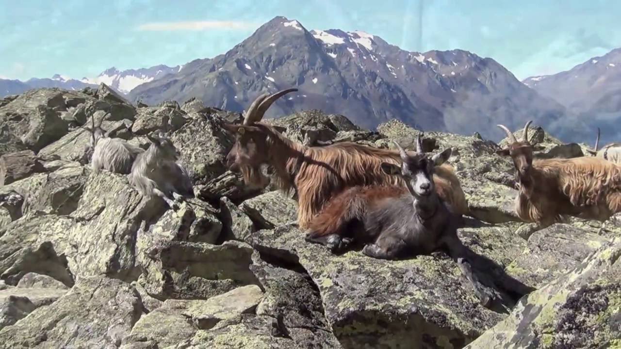 Hochstubaihutte You Toube