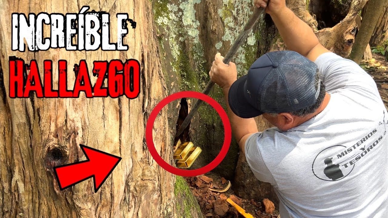 Quede IMPACTADO al ENCONTRAR ESTE TESORO en medio del Bosque !😲