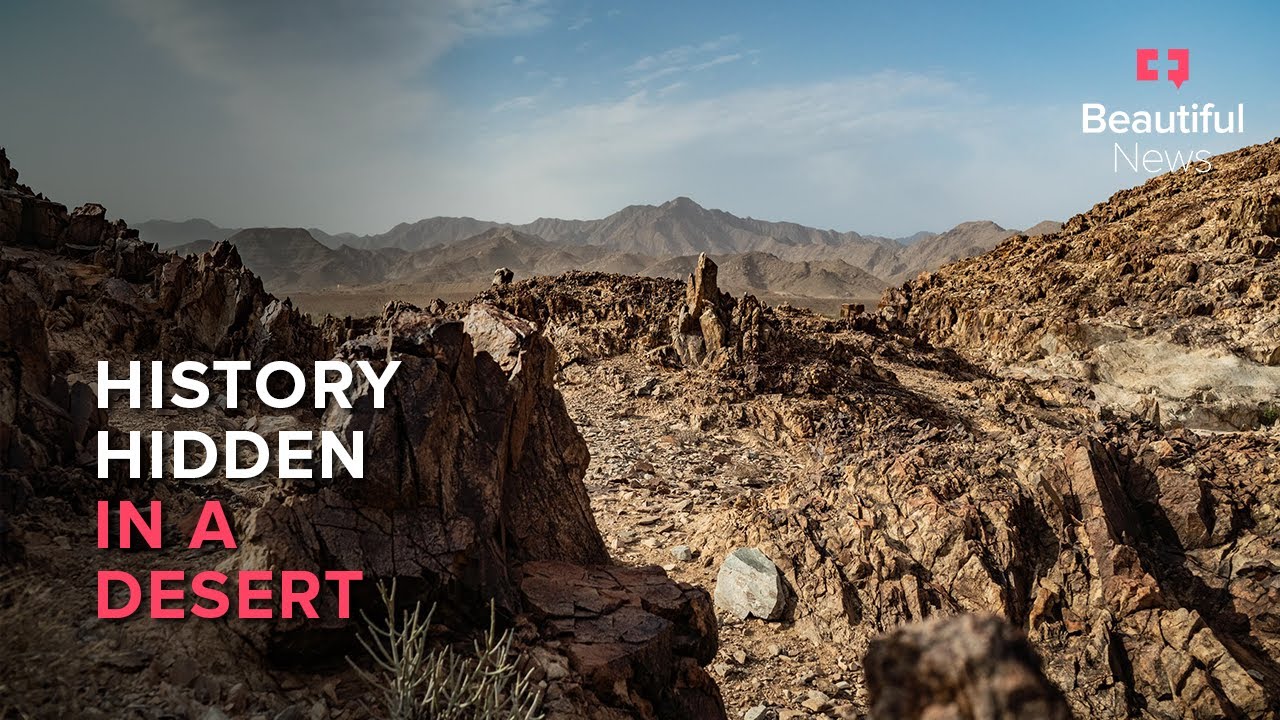 Beautiful News | The rich life of a seemingly desolate land