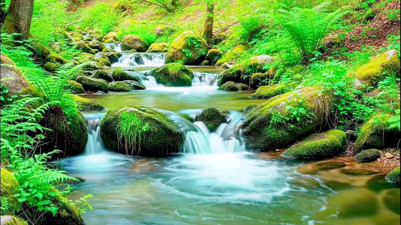 Soothing River Sound for Deep Sleep | Natural White Noise for Wellness & Calm Mind