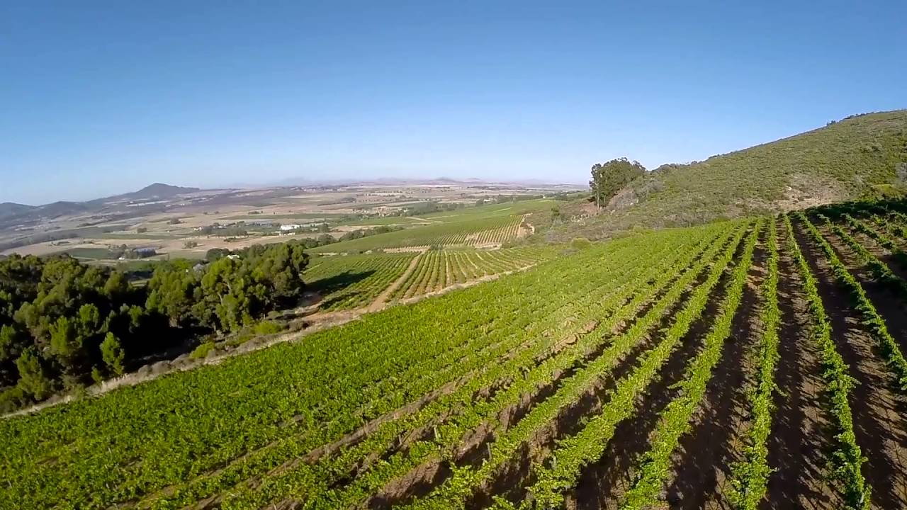 Fairview Wine - Drone view of estate & farm