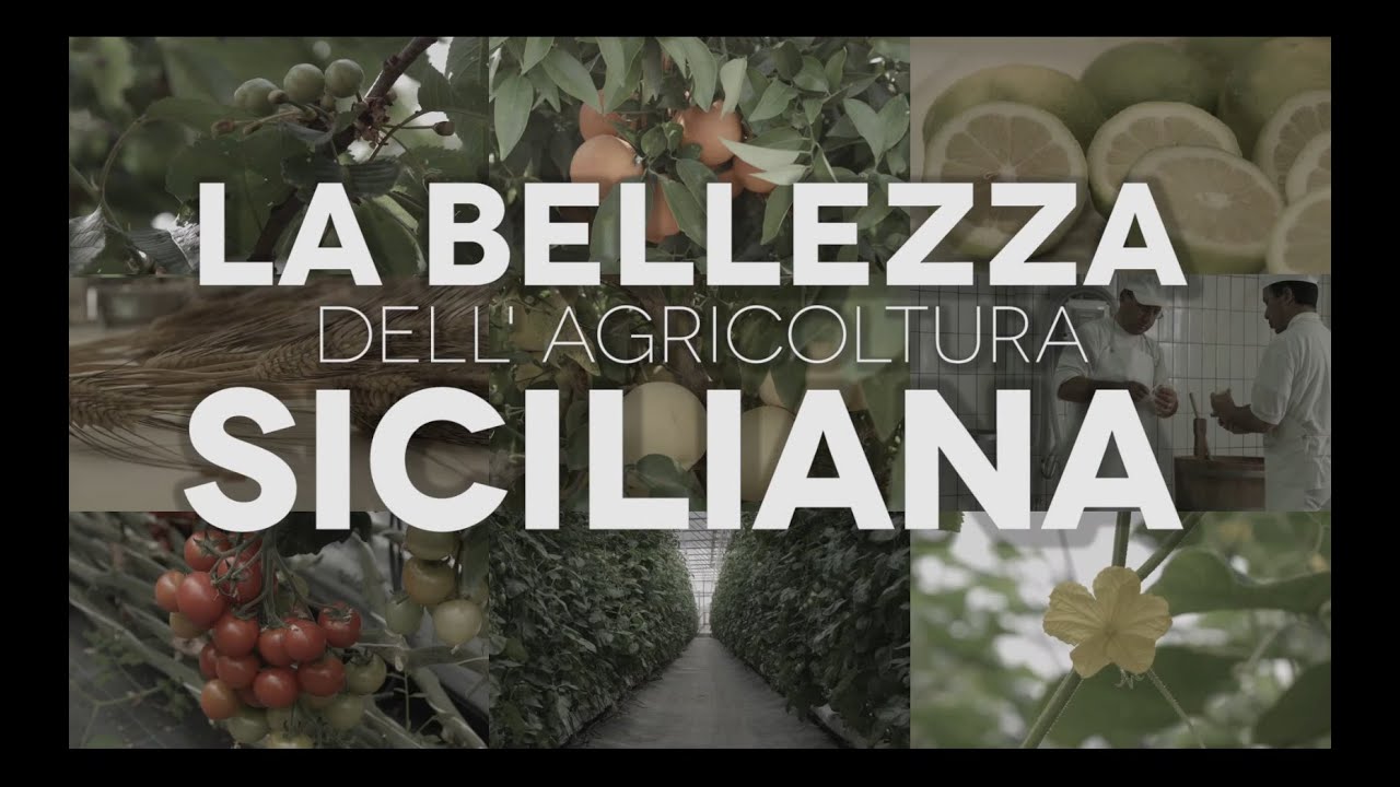 Limite, potenza, innovazione - La bellezza dell'agricoltura siciliana (Unict x Expo)