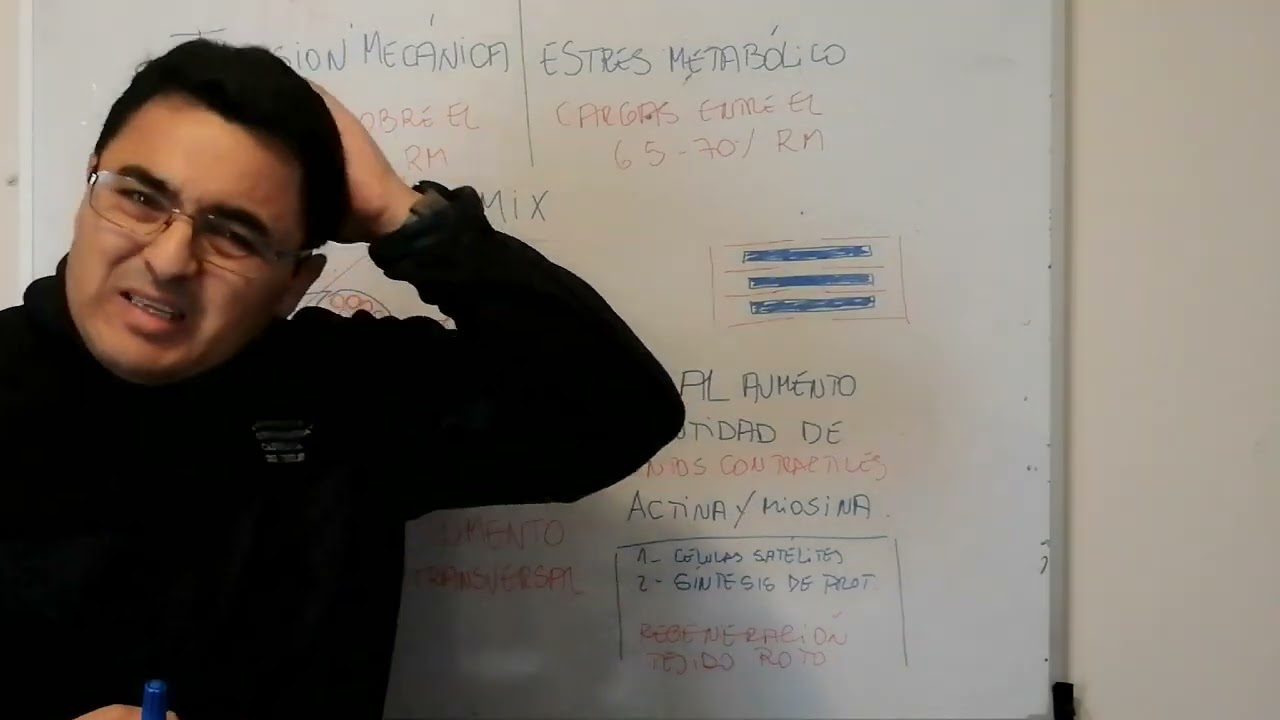 Hipertrofia muscular.
