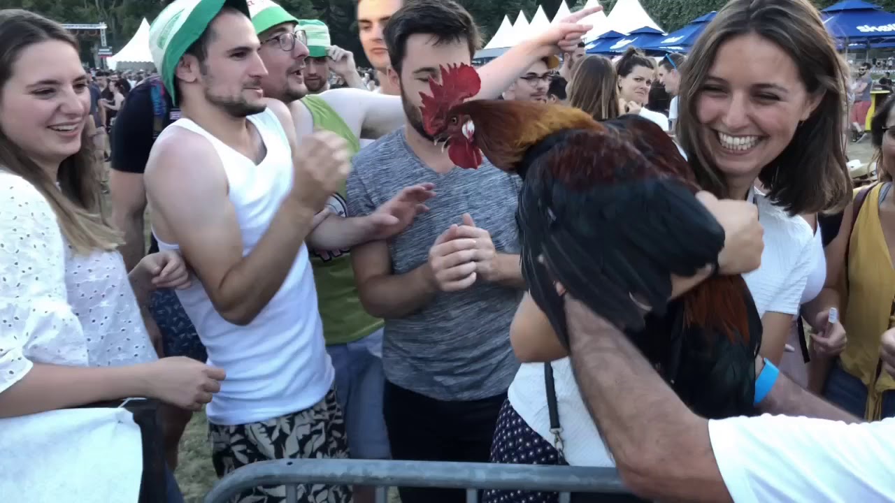 COCORICO ÉLECTRO 2018