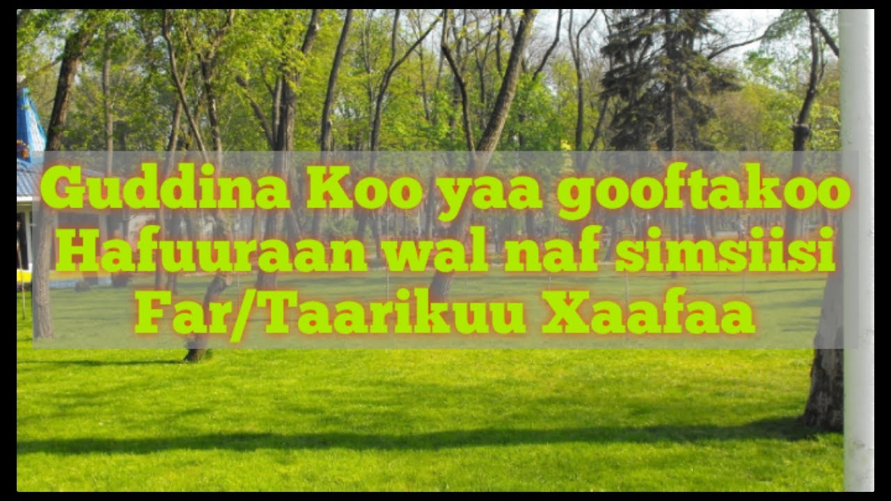 Taarikuu Xaafaa