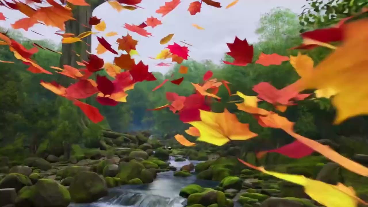 Flowy Vibe 🍂 Anime Autumn Chill