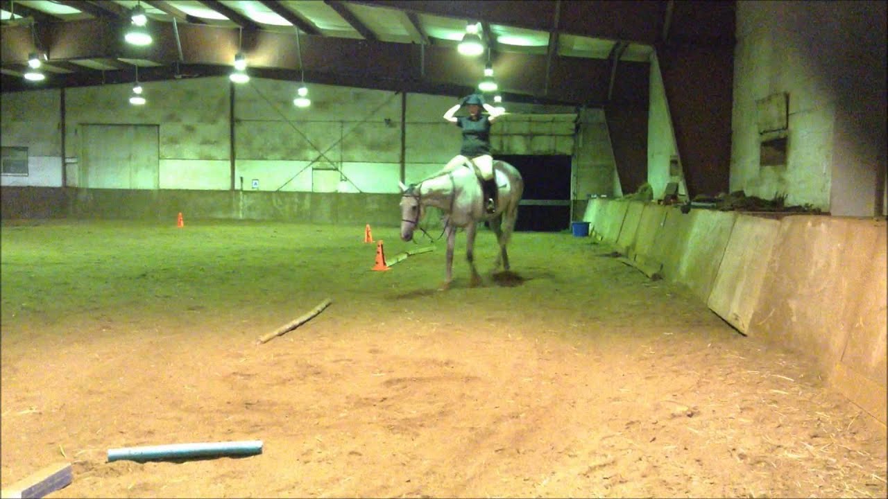 Steering a horse with just your legs