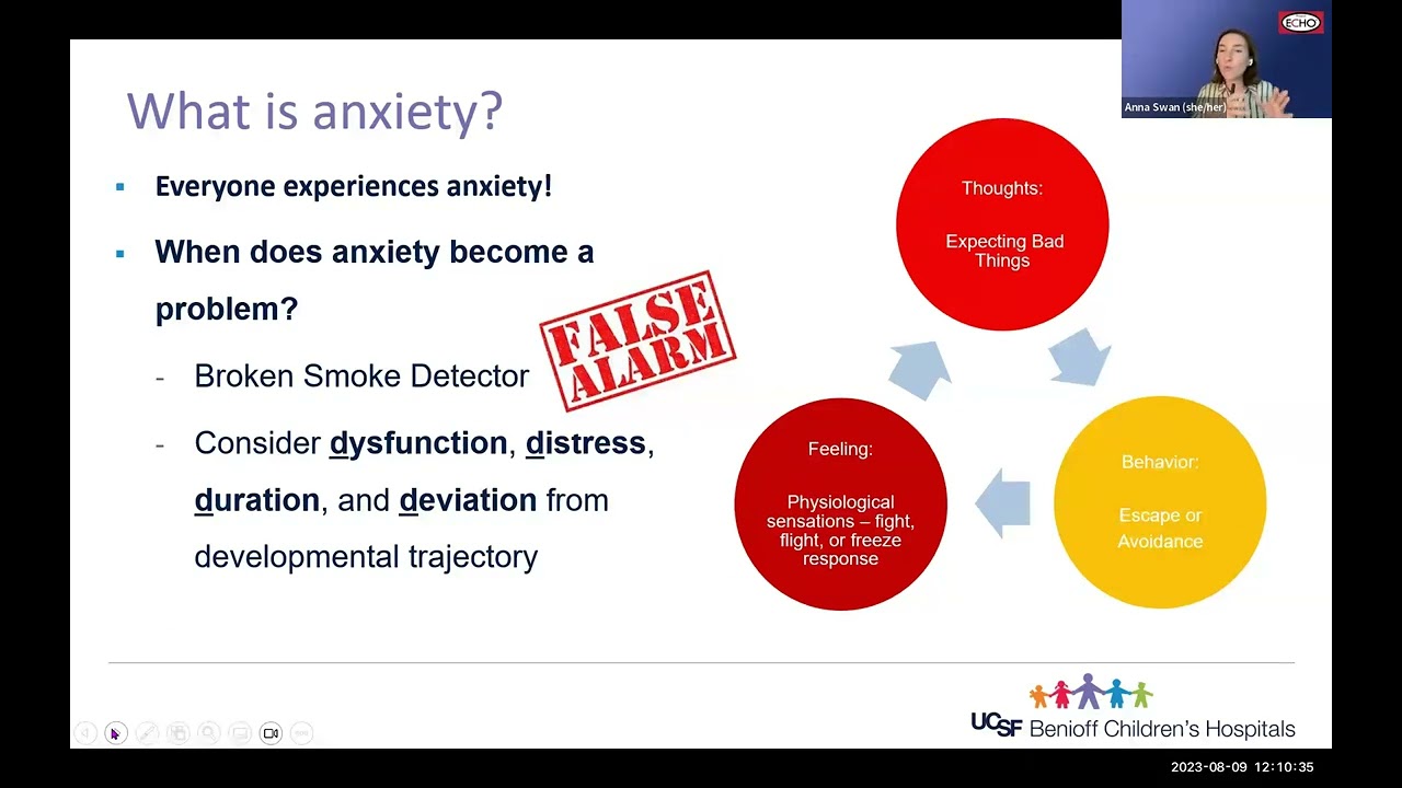 Anxiety ECHO - August 2023