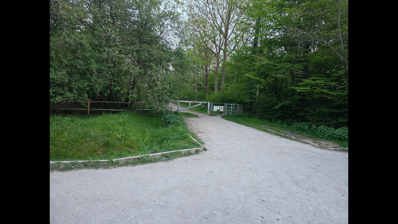 Dering Woods..Pluckley