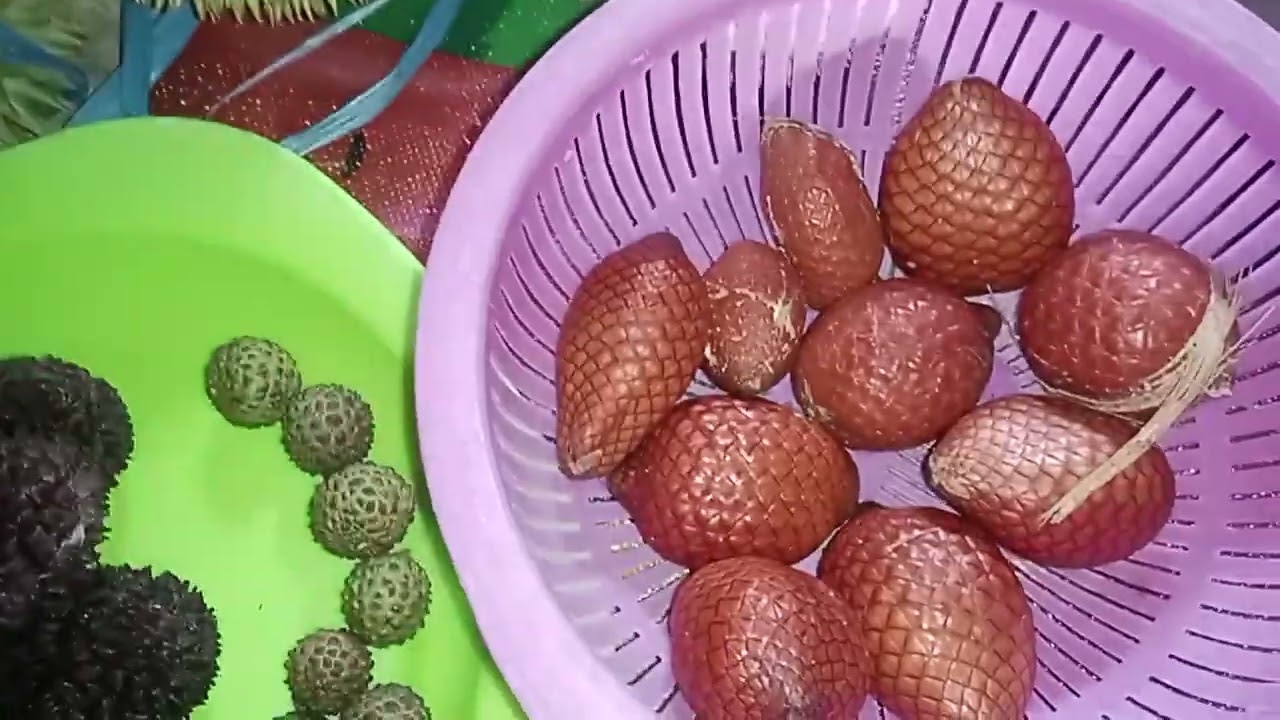 Makan buah langka gunung