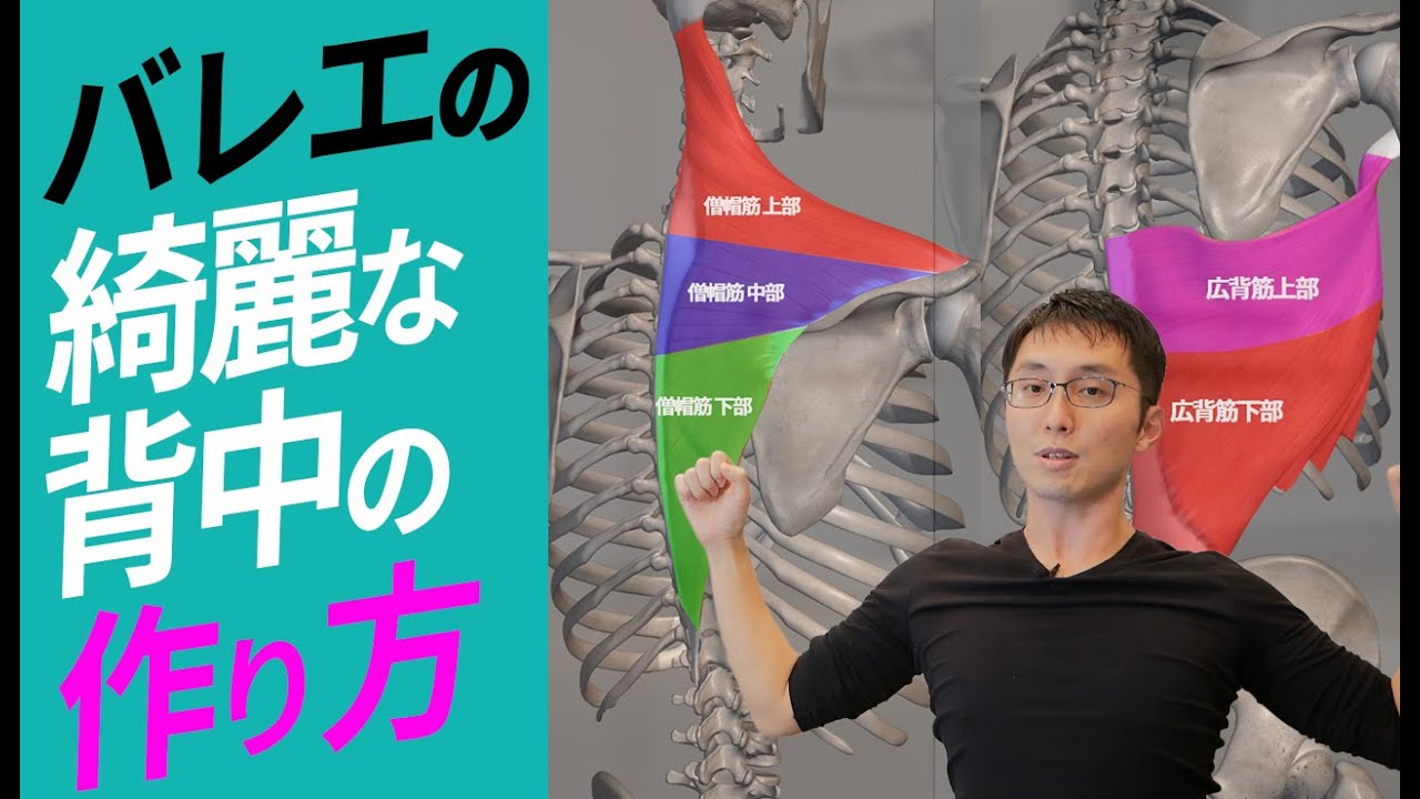 【バレエ】バレエの綺麗な背中の作り方