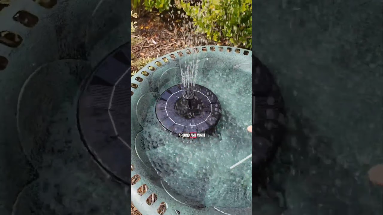 Easy Backyard Upgrade: Solar Bird Bath Fountain 
