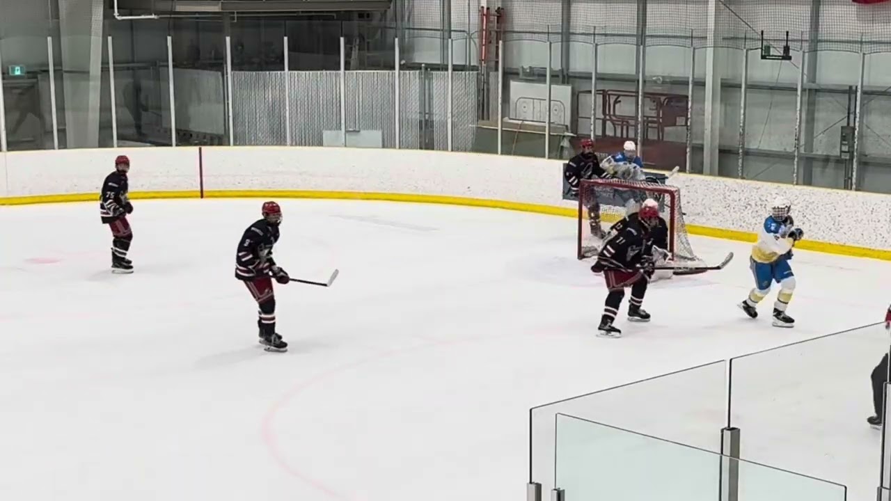 2-3L vs prairie hockey academy in Canadian crown tournament (44 shots)