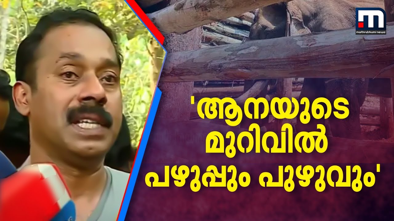 'മുറിവിന് ഒരടി ആഴം, പഴുപ്പും പുഴുവും ഉണ്ടായിരുന്നു, മുറിവ് വൃത്തിയാക്കി മരുന്നുവച്ചു' | Elephant