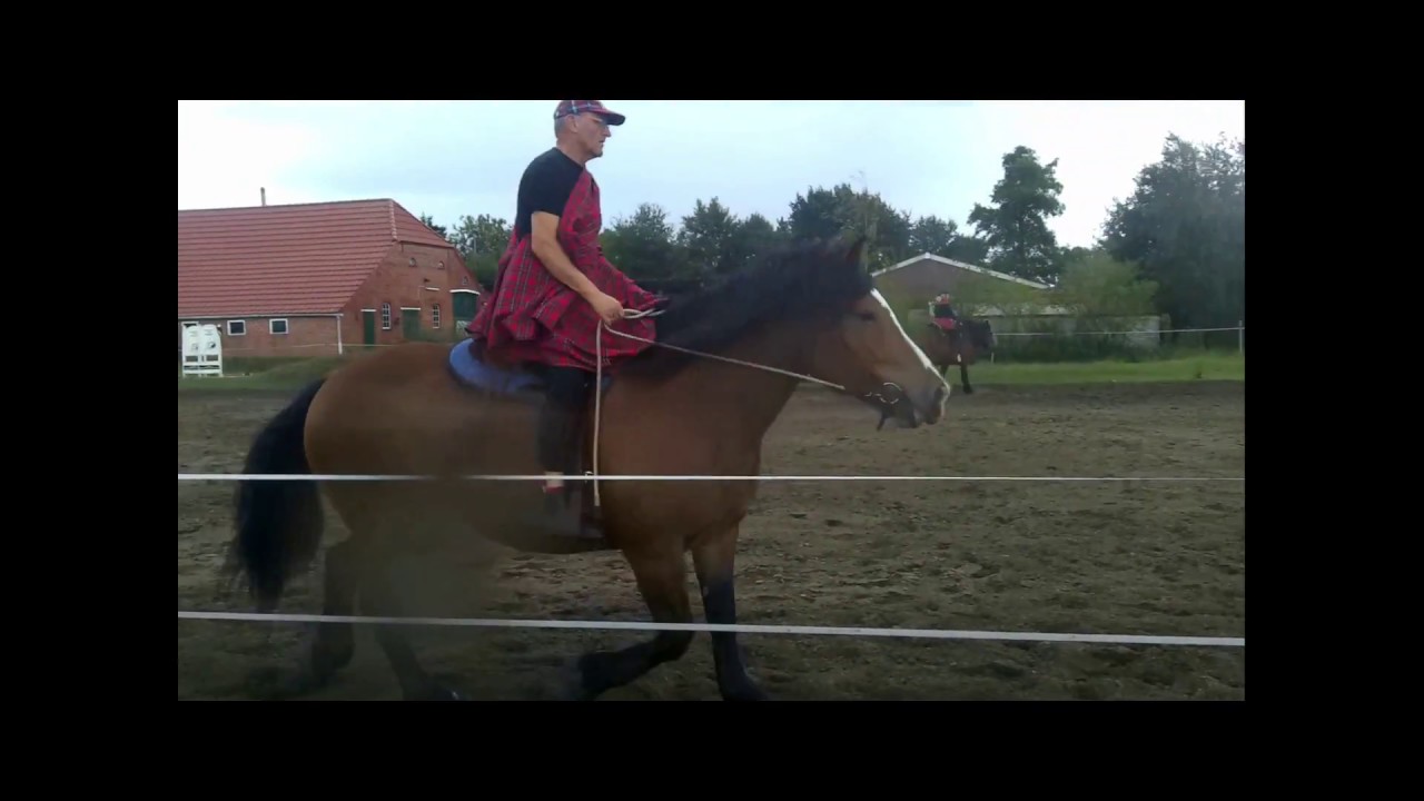 Kaltbl&uuml;ter auf dem Fun and Speed Westernturnier