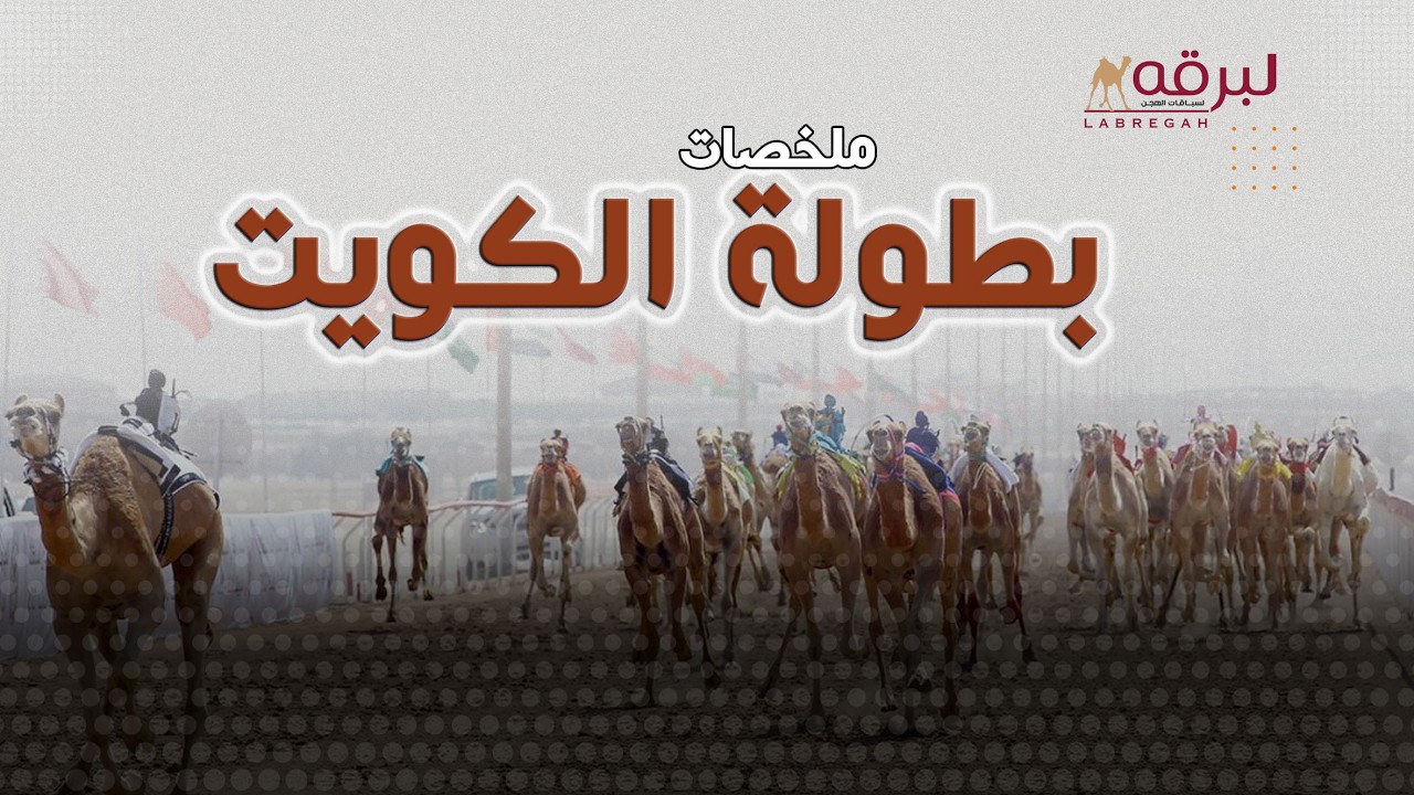 ملخص أشواط رموز الحيل والزمول (بطولة الكويت الدولية للهجن) مساء 12-02-2026