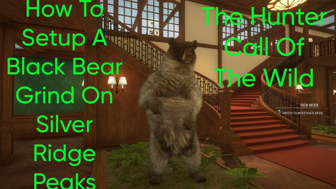 How I set up my Black Bear grind - The Hunter Call of the Wild