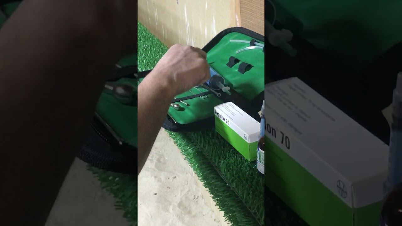 الطير الي يصوم عن العلف من المشكله الي حصلت عندنا في الكويت