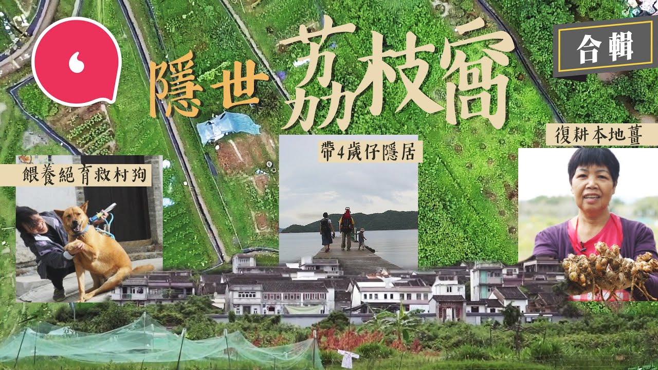 傳說新界有個世外桃源荔枝窩！非常父母帶4歲仔隱居荔枝窩過自由童年 大廚獨守荒村炮製私房菜 復耕義工變狗奴餵養絕育救村狗 #專題─果籽 香港 Apple Daily