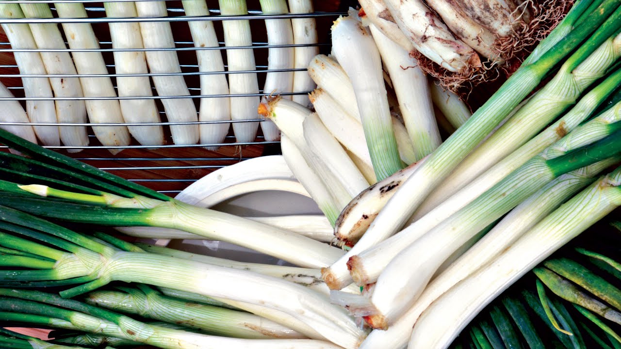 La culture des calçots