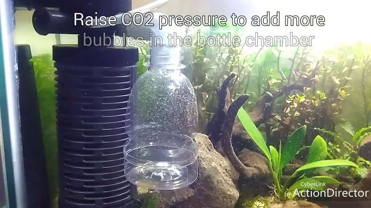 How to make DIY CO2 diffuser in 5 minutes | Type 1