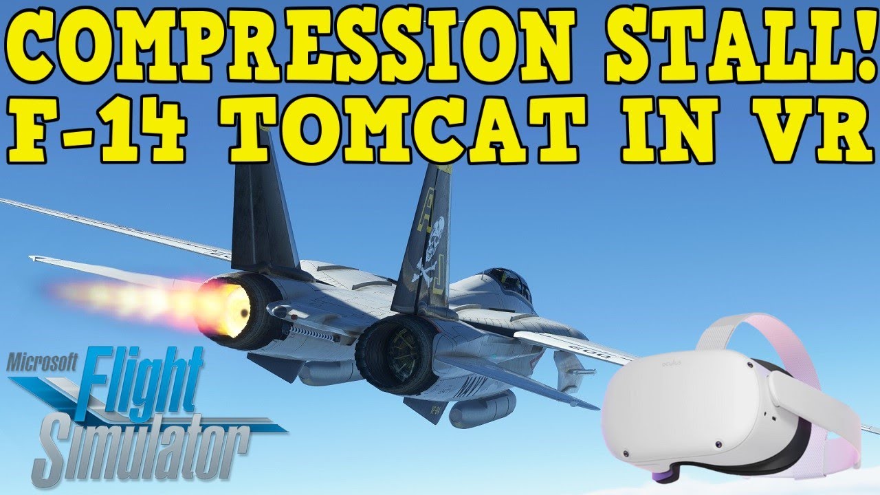 MSFS OR DCS? *RANT* + F-14 TOMCAT STALLS!