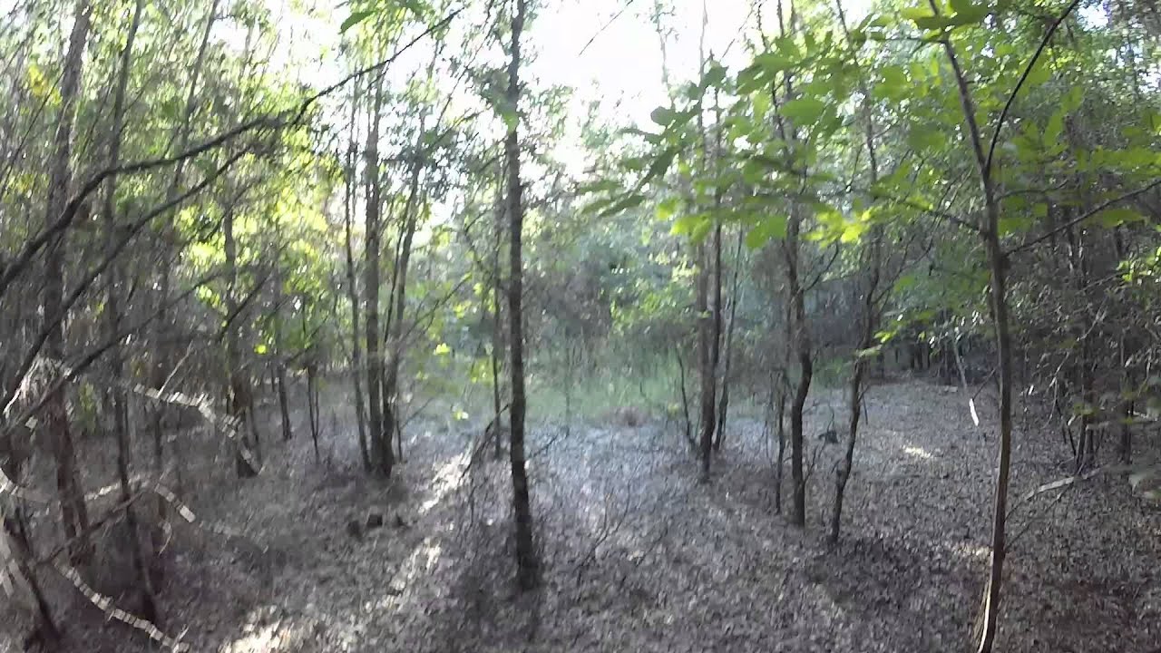 Exploring by Stage Pond Ghost Town in Citrus Wildlife Management Area (Withlacoochee State Forest)