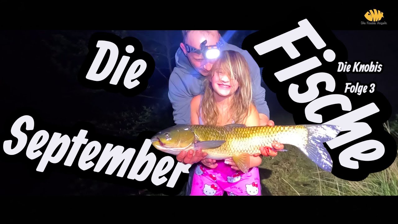 Angeln im September Folge 3, Fische ohne Ende ! Angeln mit die Knobis