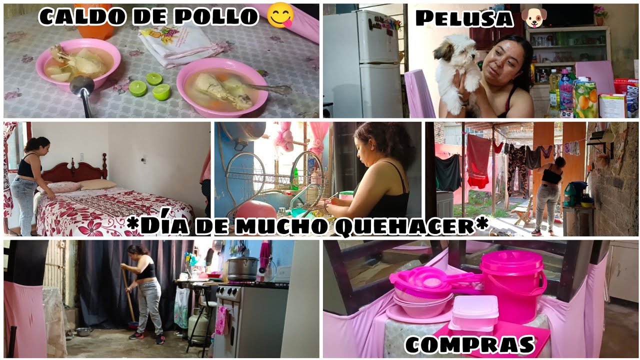 Dia de mucho quehacer 🧹 les presento a Pelusa 🐶 compras para mi hogar ✨️