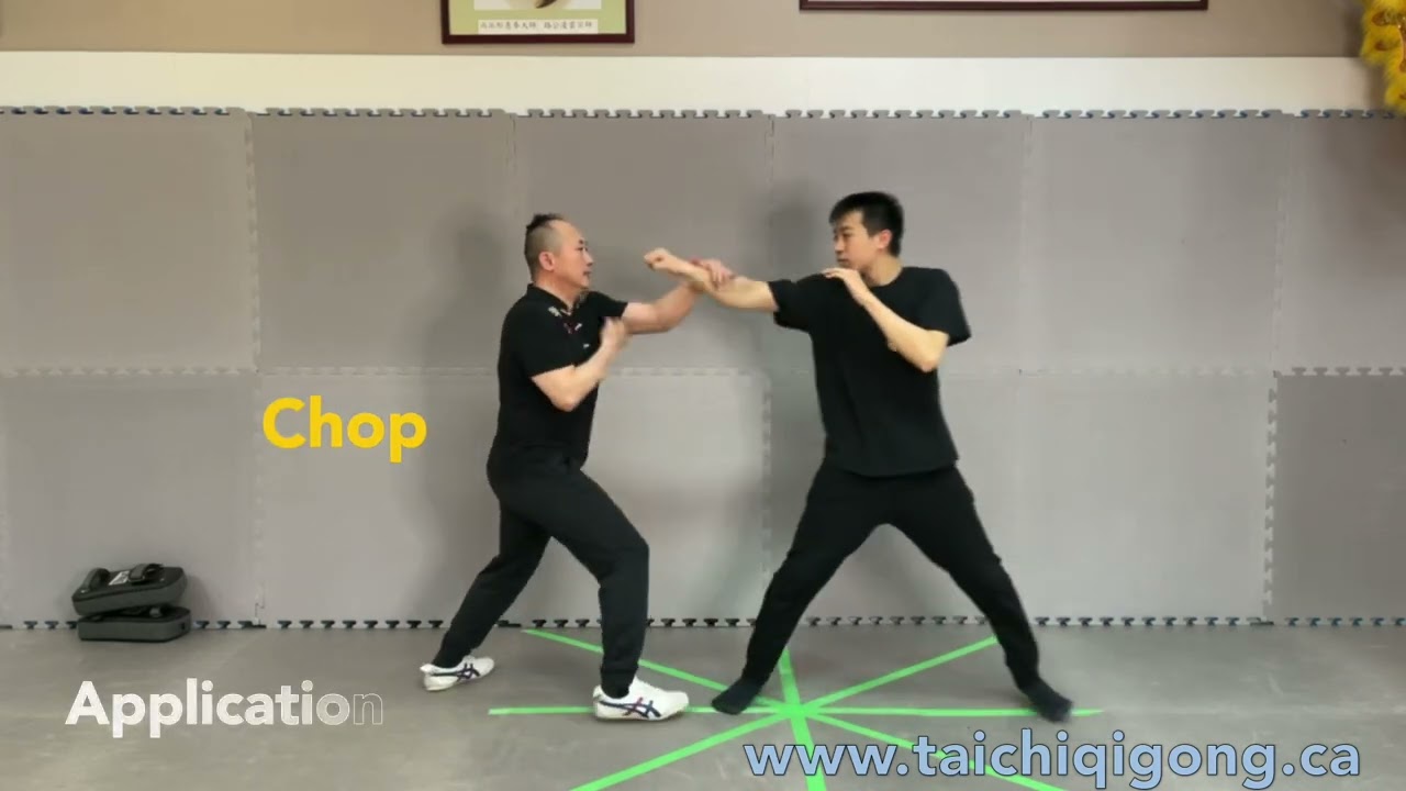 7 stars mantis Chachui form on line course initiated.