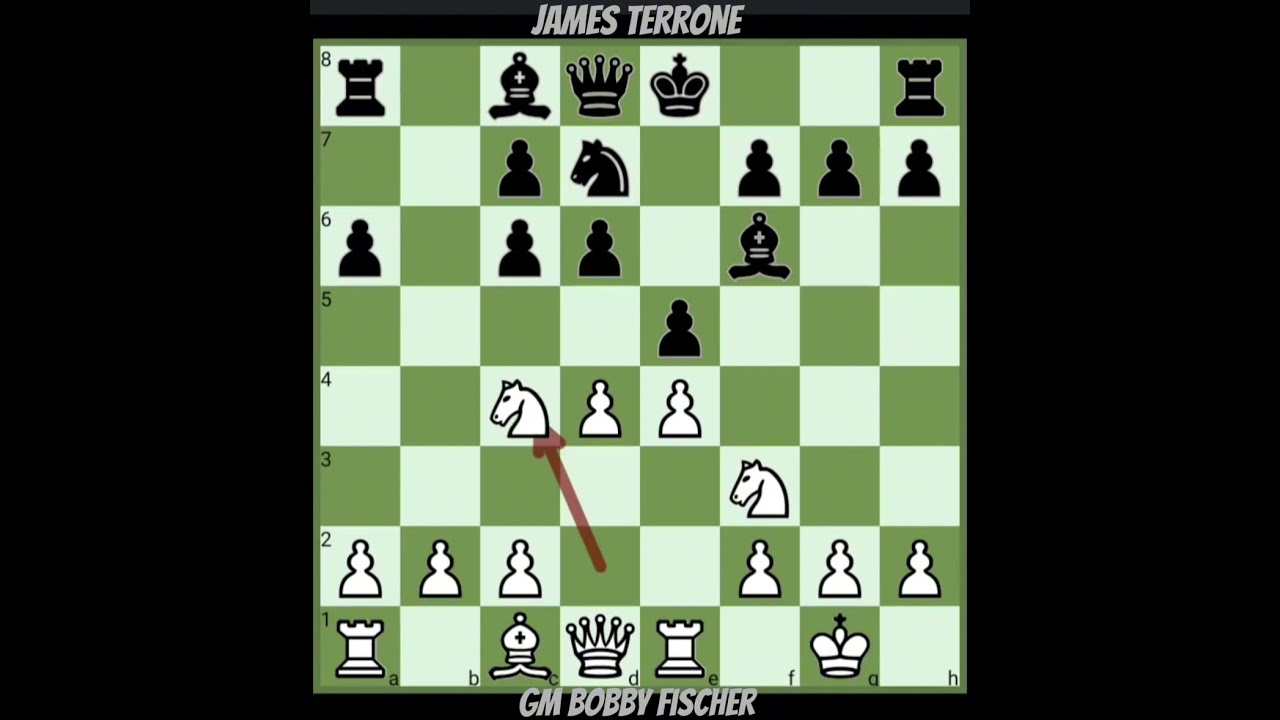 GM Bobby Fischer vs James Terrone