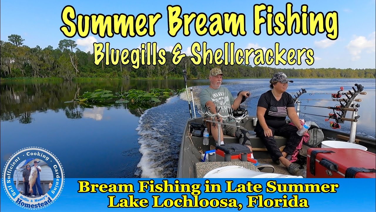 Summertime Bream Fishing on Lake Lochloosa, Florida