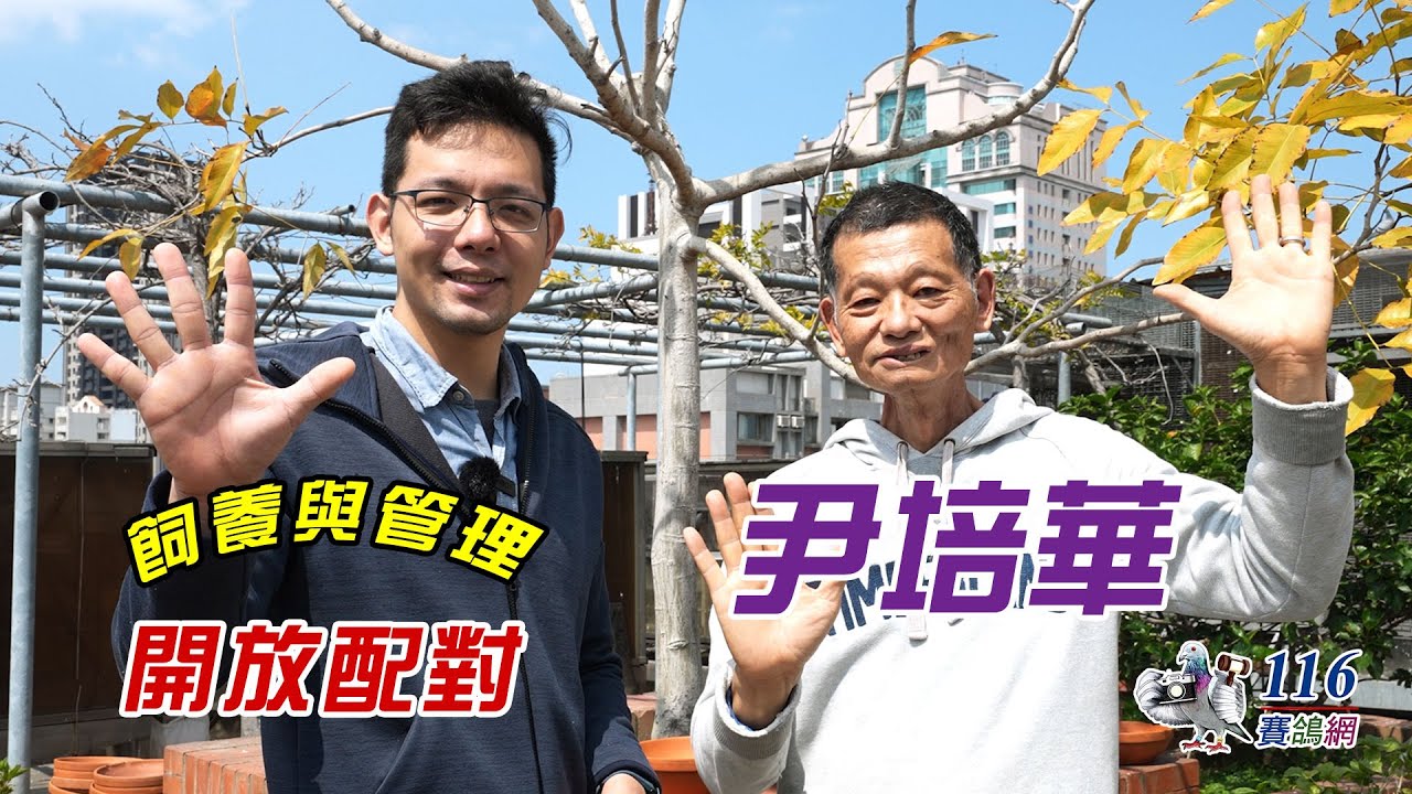 【配對環境】 開放配對 - 尹培華