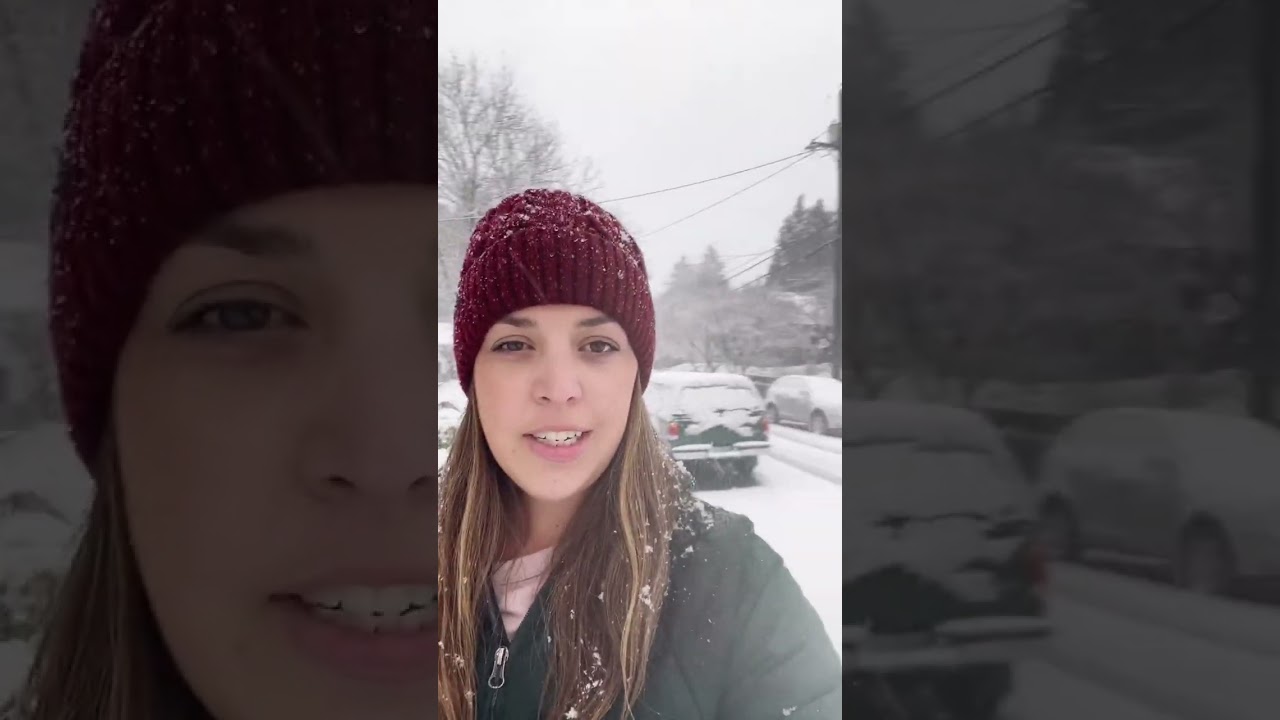 SNOW!!!! #snowpocalypse #portland #snow