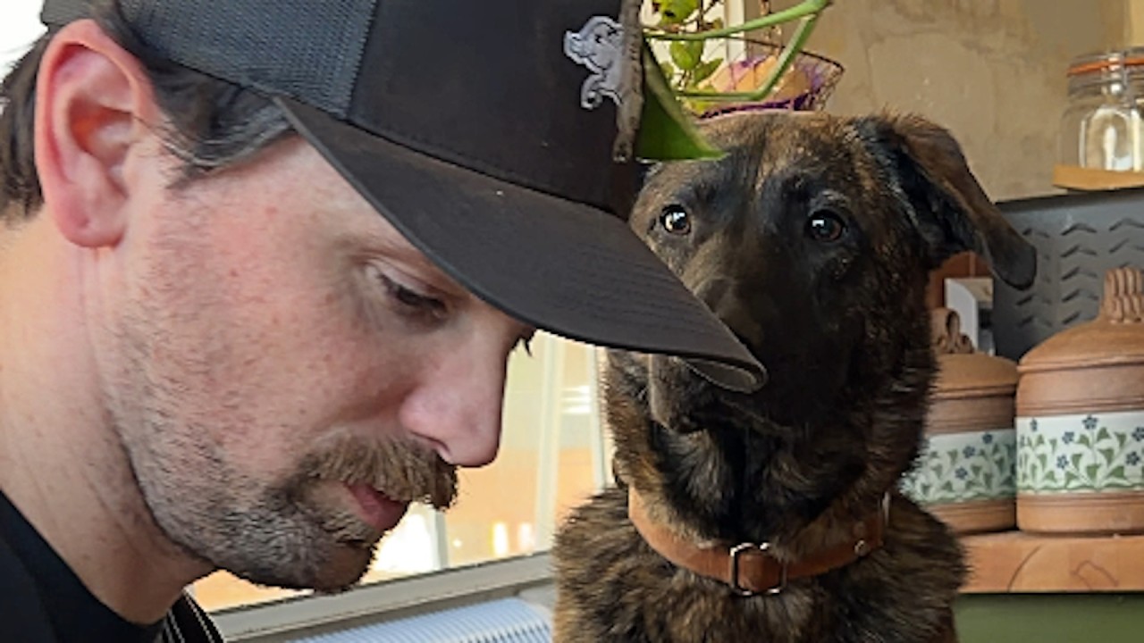 Rescue dog hilariously 'melts' for man