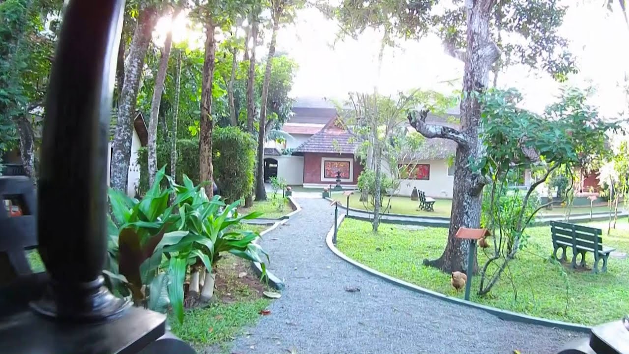 Top Ayurveda Treatment Center | Krishnendu Ayurvedic Resort Kerala, An Areal View