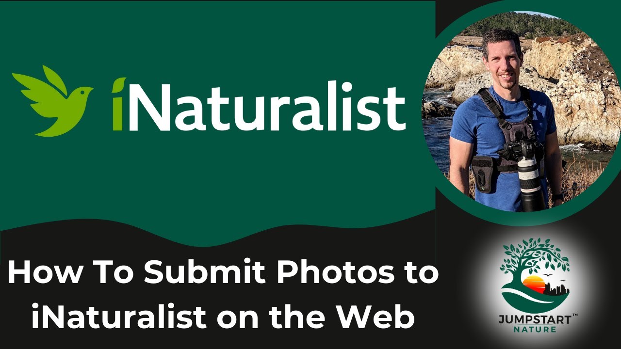 How To Upload Photos to iNaturalist On A Web Browser